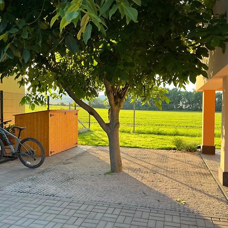 Rekreacni Dum U Jezer, Milovice 6 Villa Kültér fotó